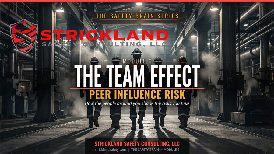Module 6: The Team Effect